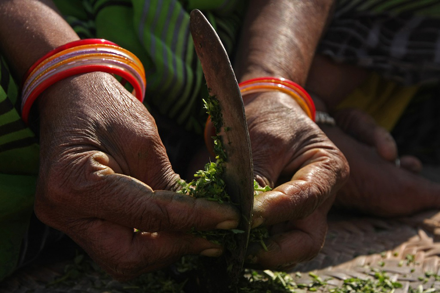 Indiaase vrouw snijdt kruiden met een zeis