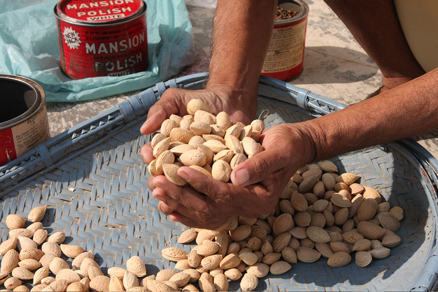 Handen met noten in India