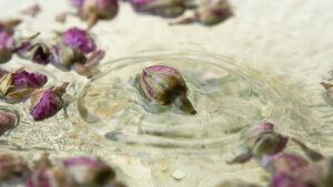 roses in water reiki distance healing for panic attack