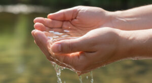 Hands wit water as illustration for article reiki shower
