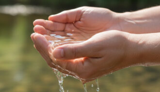Hands wit water as illustration for article reiki shower