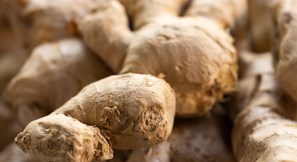 Ginger for ginger sirop